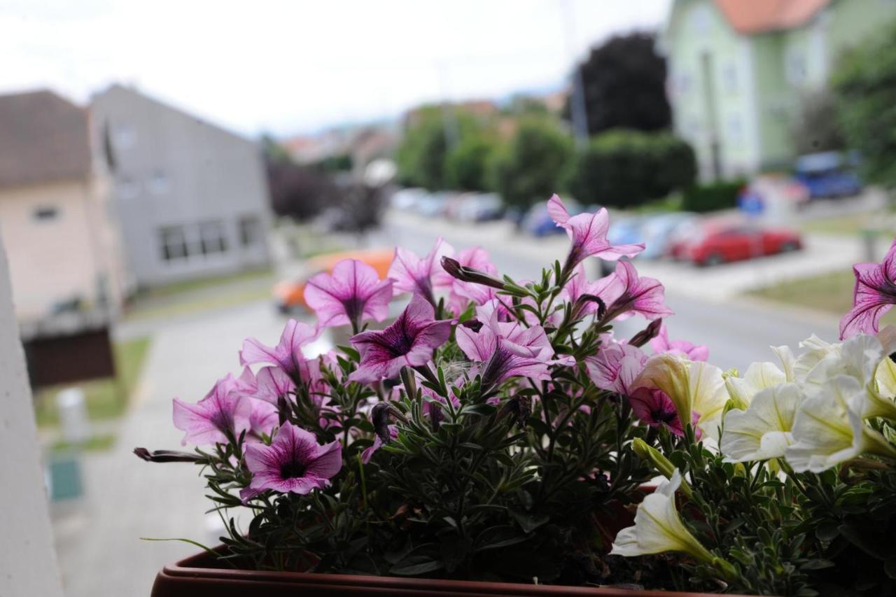 Wellness B&B Winery Sontacchi Kutjevo Exterior foto
